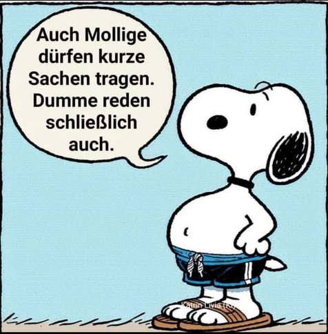 Snoopy in Badehose und Flip Flops sagt: 