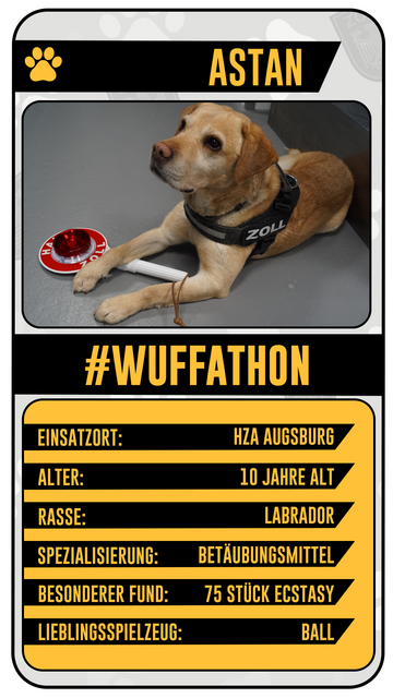 Name: Astan

Zollhund Astan liegt auf dem Boden und hat seine Pfote über einer Zollkelle.

#Wuffathon

Einsatzort: HZA Augsburg
Alter : 10 Jahre
Rasse: Labrador
Spezialisierung: Betäubungsmittel
Besonderer Fund: 75 Stück Ecstasy
Lieblingsspielzeug: Ball